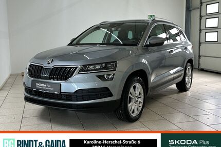 Skoda Karoq Gebrauchtwagen