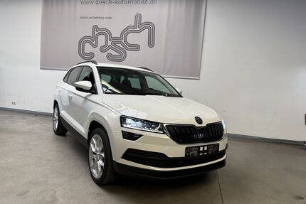 Skoda Karoq Gebrauchtwagen
