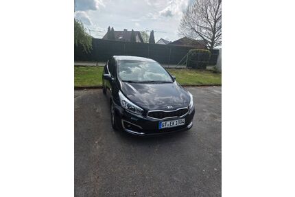 Kia ceed / Ceed Gebrauchtwagen