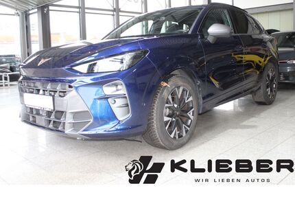 Cupra Terramar Gebrauchtwagen