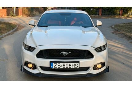 Ford Mustang Gebrauchtwagen