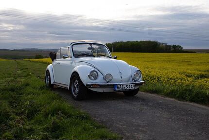 VW Käfer Gebrauchtwagen