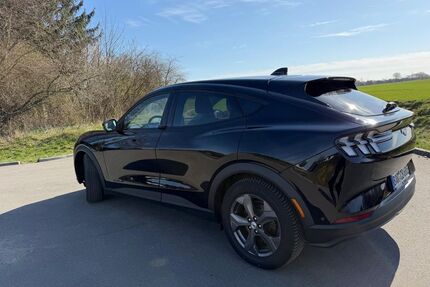 Ford Mustang Mach-E Gebrauchtwagen