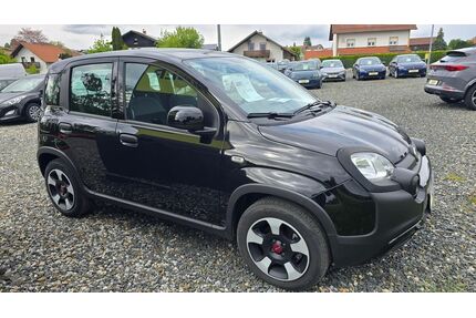 Fiat Panda Gebrauchtwagen