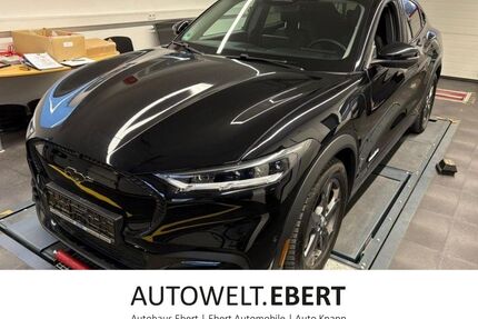 Ford Mustang Mach-E Gebrauchtwagen