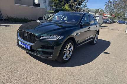 Jaguar F-Pace Gebrauchtwagen