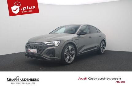 Audi Q8 e-tron Gebrauchtwagen