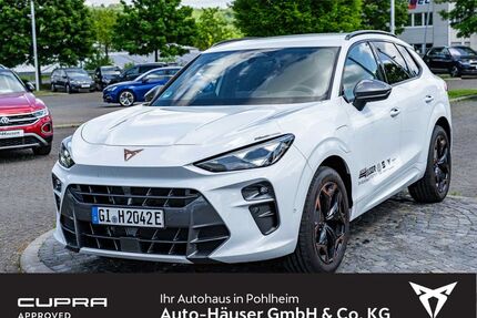 Cupra Terramar Gebrauchtwagen
