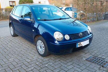 VW Polo Gebrauchtwagen