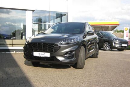 Ford Kuga Gebrauchtwagen