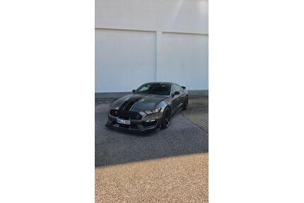 Ford Andere Gebrauchtwagen