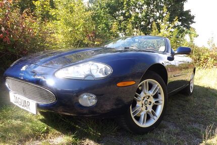 Jaguar XK8 Gebrauchtwagen