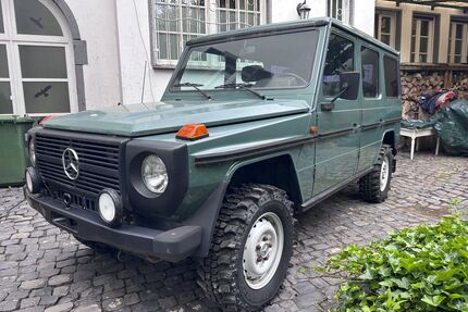 Mercedes-Benz G 290 Gebrauchtwagen