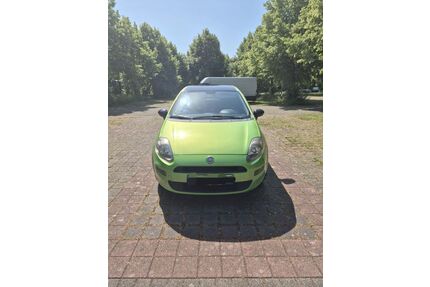 Fiat Punto Gebrauchtwagen