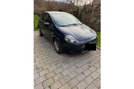 Fiat Punto Gebrauchtwagen