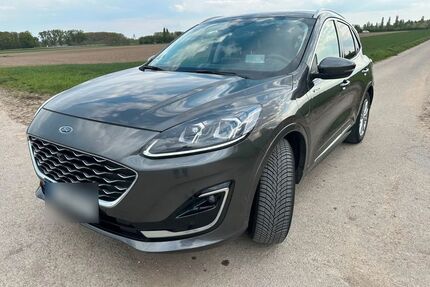 Ford Kuga Gebrauchtwagen