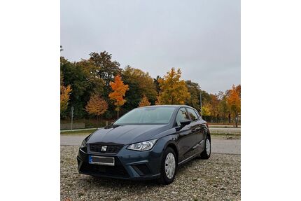 Seat Ibiza Gebrauchtwagen