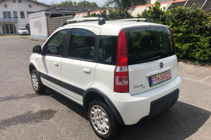 Fiat Panda Gebrauchtwagen