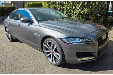Jaguar XF Gebrauchtwagen