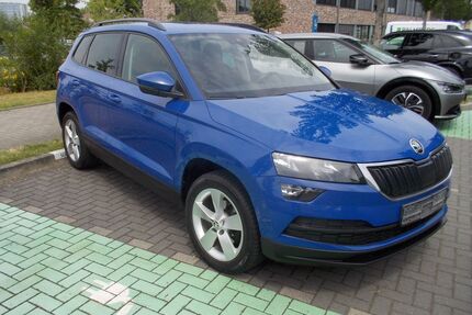 Skoda Karoq Gebrauchtwagen