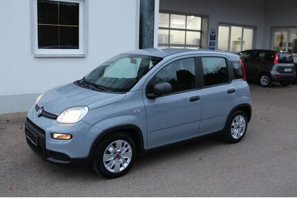 Fiat Panda Gebrauchtwagen