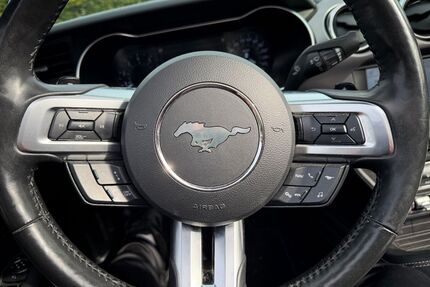 Ford Mustang Gebrauchtwagen