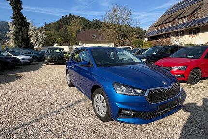 Skoda Fabia Gebrauchtwagen