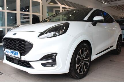 Ford Puma Gebrauchtwagen
