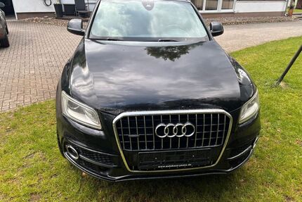 Audi Q5 Gebrauchtwagen