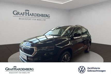 Skoda Karoq Gebrauchtwagen