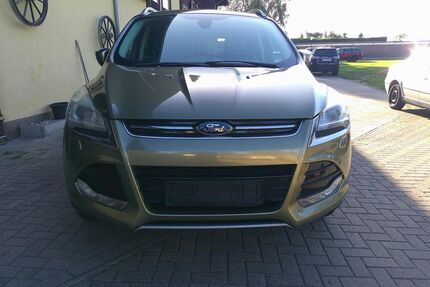 Ford Kuga Gebrauchtwagen