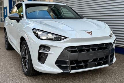 Cupra Terramar Gebrauchtwagen