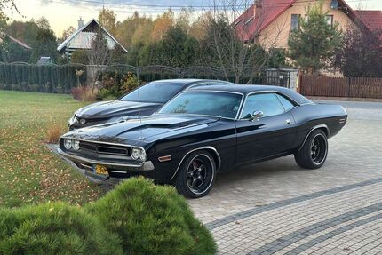 Dodge Challenger Gebrauchtwagen