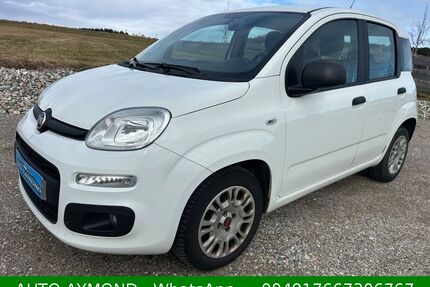 Fiat New Panda Gebrauchtwagen