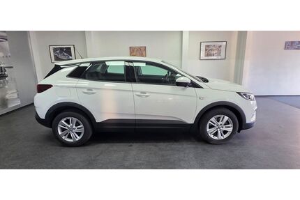 Opel Grandland (X) Gebrauchtwagen