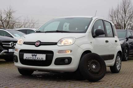Fiat Panda Gebrauchtwagen