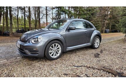 VW Beetle Gebrauchtwagen