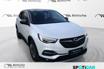 Opel Grandland (X) Gebrauchtwagen