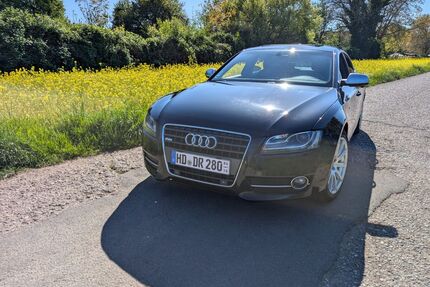 Audi A5 Gebrauchtwagen