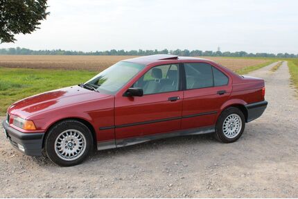 BMW 316 Gebrauchtwagen