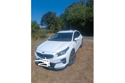 Kia XCeed Gebrauchtwagen