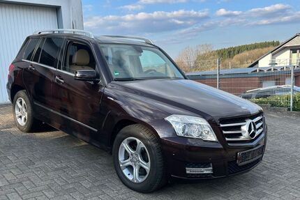 Mercedes-Benz 250 Gebrauchtwagen