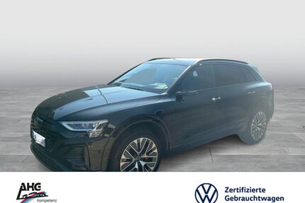 Audi Q8 e-tron Gebrauchtwagen