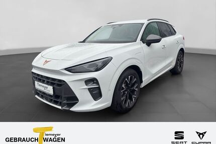 Cupra Terramar Gebrauchtwagen