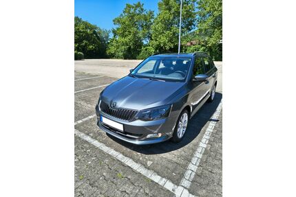 Skoda Fabia Gebrauchtwagen