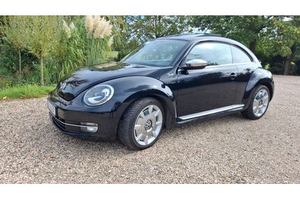 VW Beetle Gebrauchtwagen