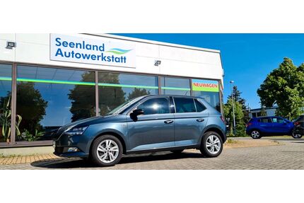 Skoda Fabia Gebrauchtwagen