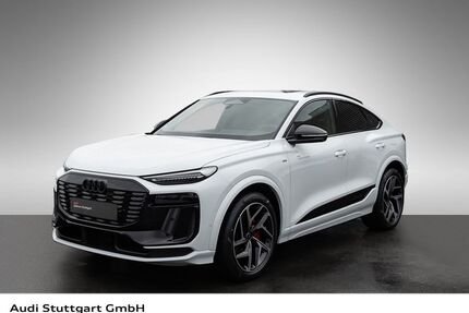 Audi Q6 e-tron Gebrauchtwagen