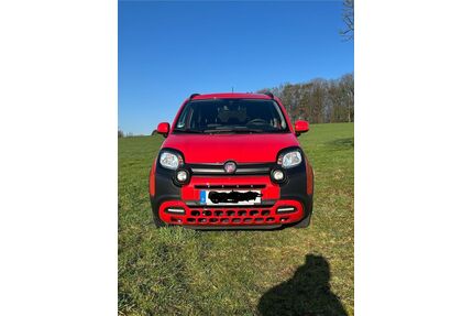 Fiat Panda Gebrauchtwagen