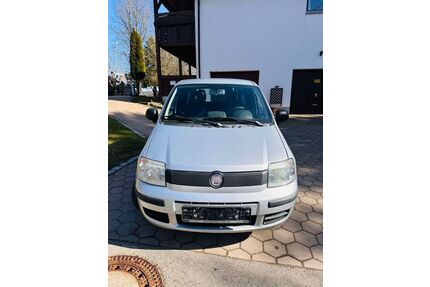 Fiat Panda Gebrauchtwagen